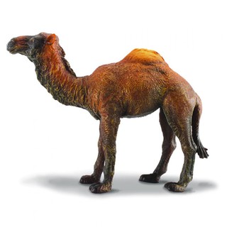 COLLECTA動物模型 - 駱駝 < JOYBUS >