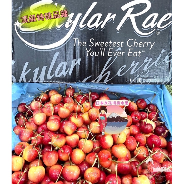 史上最甜白櫻桃~稀有品種8.5or超大規格-Skylar Rae草莓白櫻桃🇺🇸美國空運白櫻桃 禮盒櫻桃 頂級限量