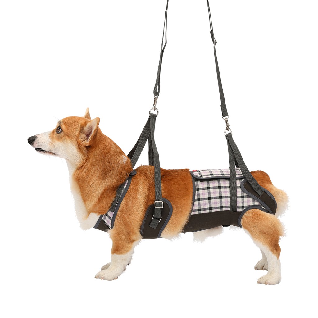 LaLaWalk 中型犬步行輔助帶-紫色格紋/老犬/輔助用品/寵物介護/