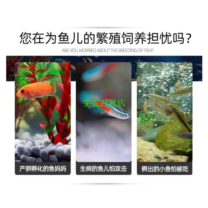 雯雯 魚缸水族箱隔離網 魚缸水族箱孵化器小魚隔離網熱帶魚繁殖箱產盒孵魚槽繁殖箱觀賞魚 蝦皮購物