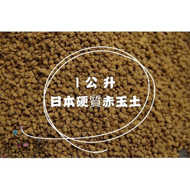 現貨 赤玉土 日本高溫燒成赤玉土天然介質鋪面多肉介質多肉土水草底砂鋪面睡蓮 蝦皮購物