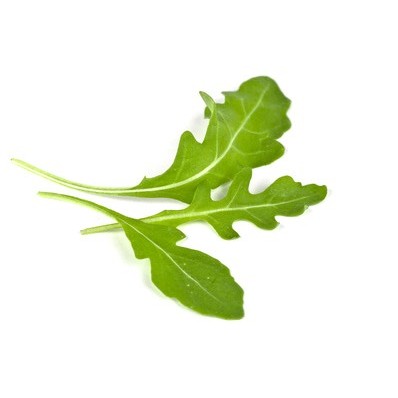 芝麻菜種子(義大利耐抽苔品種)~優良生菜素材，濃濃芝麻香，新手必種