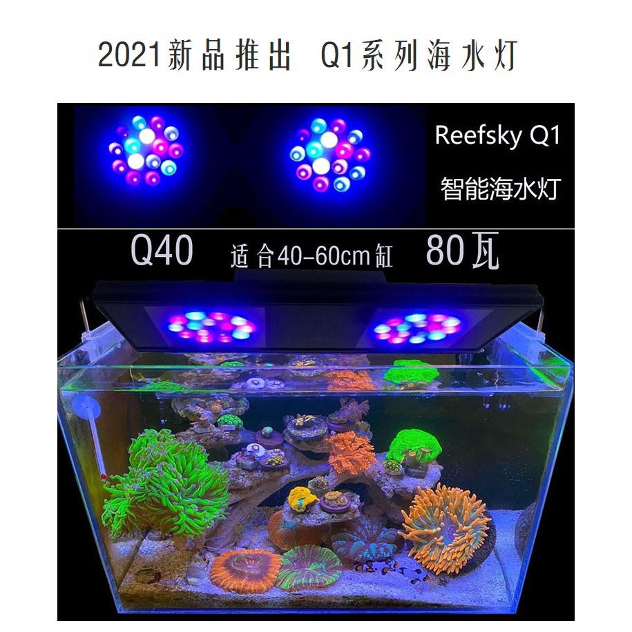傑米水族 中瑞特q1 系列大瓦數led 海水珊瑚燈具lps Sps 硬骨日出日落 蝦皮購物