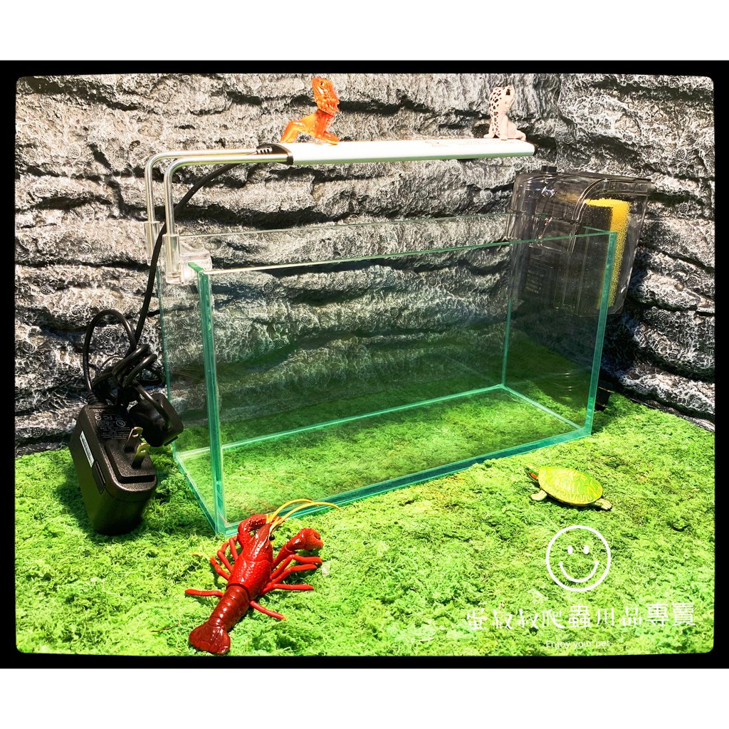 蛋叔叔 免運費 Egg招財風水套缸 含燈 過濾器 優白缸 魚缸 水草缸 烏龜缸 Ada 高透 孔雀魚 新手缸 屏風缸 蝦皮購物