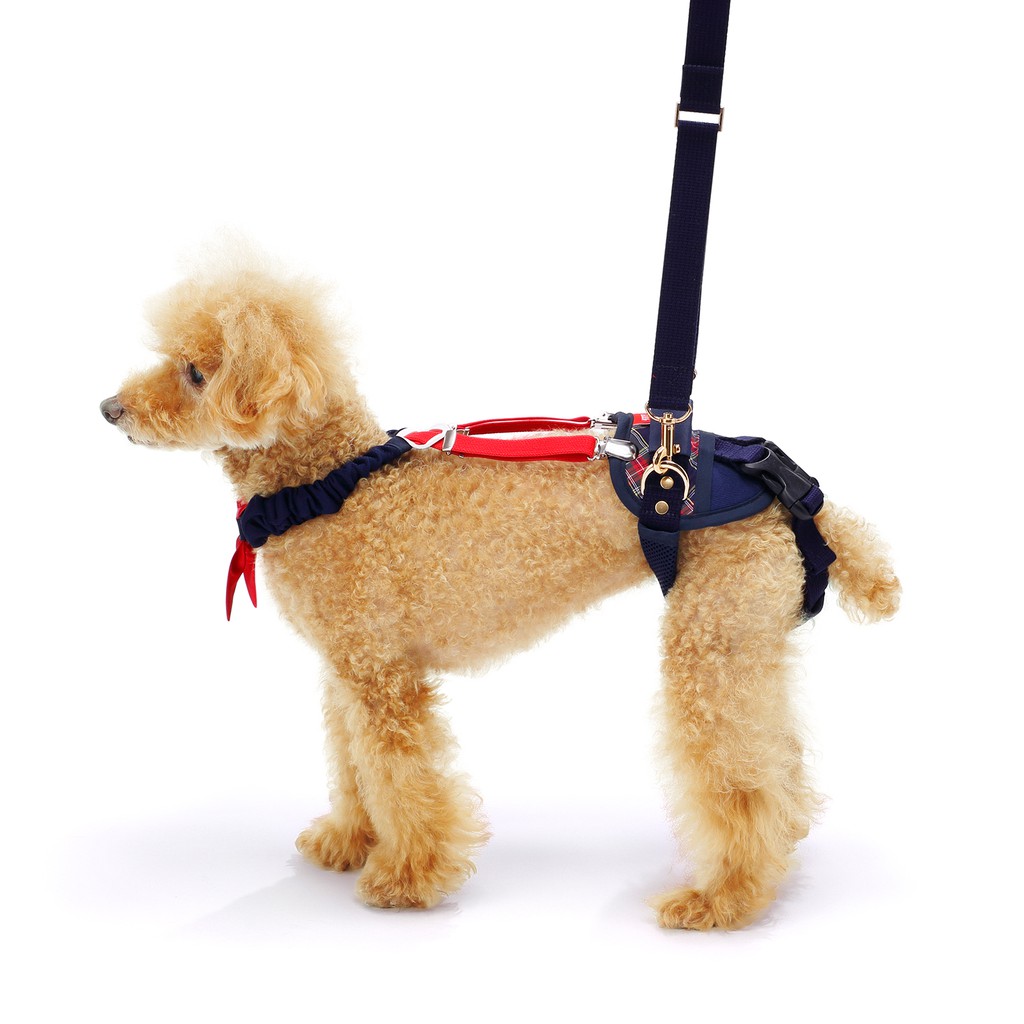 LaLaWalk 小型犬簡易款後肢輔助帶-嘉年華格紋/老犬/輔助用品/寵物介護/狗狗輔助帶
