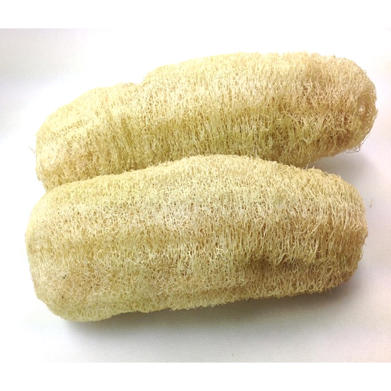 天然菜瓜布絲瓜布絲瓜絡 蝦皮購物
