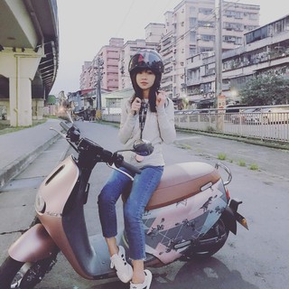 BLR GOGORO G2 車套 暴龍 幾何 單面花色 可雙面使用 防刮套 防刮車套 附發票