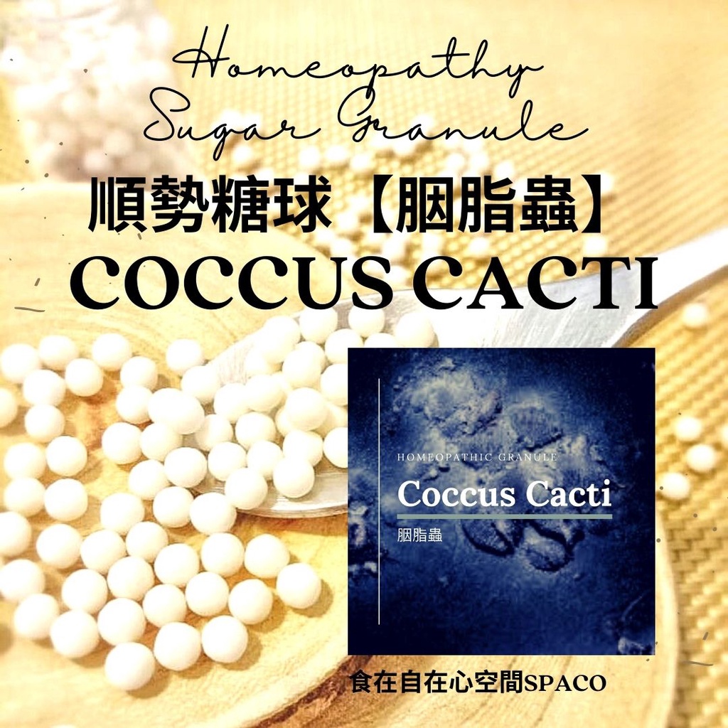 順勢糖球【胭脂蟲●Coccus Cacti】Homeopathic Granule 9克 食在自在心空間