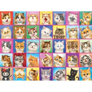 【小梅子拼圖 美拼Ceaco 3401-31】1500片 61×81.3cm 萌 貓們 Cats 喜怒哀樂