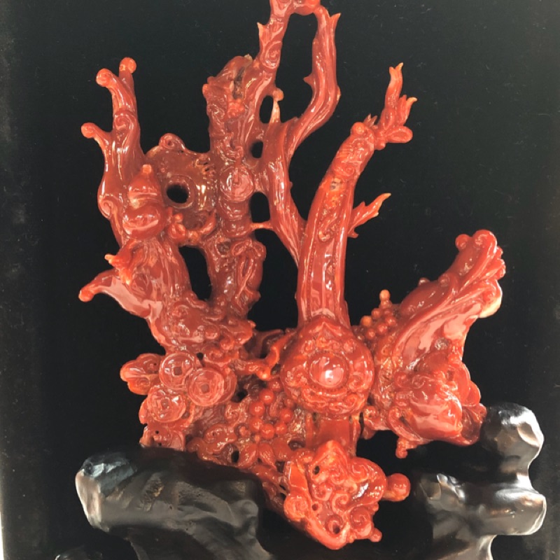《小商人》阿卡珊瑚如意 頂級珊瑚 流血紅 牛血紅 赤紅珊瑚 珊瑚擺件 招財 納福 避邪 佛教七寶 吉祥如意  純天然