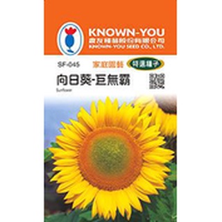 《農友種苗》特選花卉種子 SF-045 向日葵-巨無霸