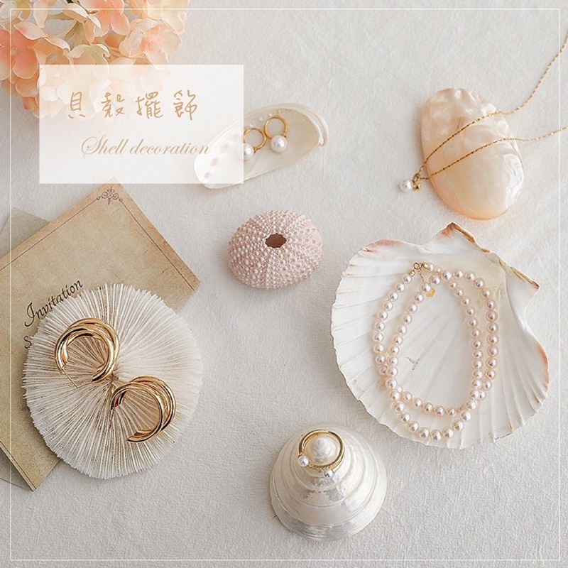 台灣快速出貨🔥  天然貝殼拍照道具  貝殼擺飾  拍照背景  攝像擺飾  裝飾  飾品收納  珊瑚  扇貝  拋光