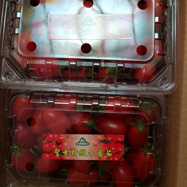 《現採》聖女小番茄~自家裁種數量不多