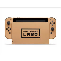 Nswitch Labo 房子的紙板