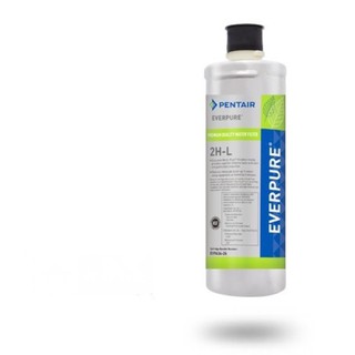 2HL原廠EVERPURE 極致精緻型淨水器DIY價