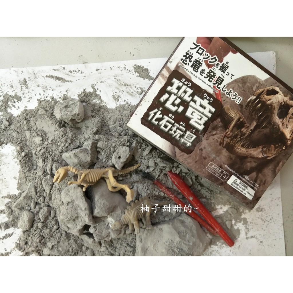 日本代購 Daiso 大創考古恐龍化石玩具挖掘挖掘恐龍標本幼兒玩具模型發掘 柚子甜甜的 蝦皮購物