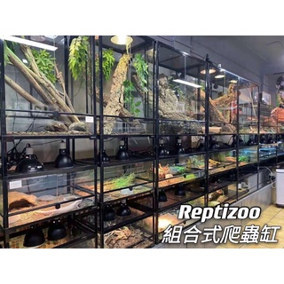 【台灣現貨】REPTIZOO 爬蟲缸 玻璃缸 玻璃網箱 爬蟲箱 組合式玻璃缸 玻璃網玻璃缸 reptizoo 爬蟲缸大