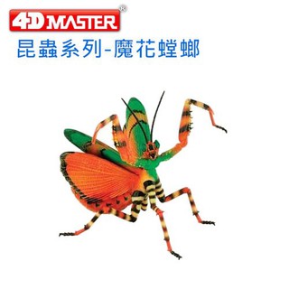 玩得購【4D MASTER】立體拼組模型昆蟲系列-魔花螳螂 FLOWER MANTIS-20217B/26585