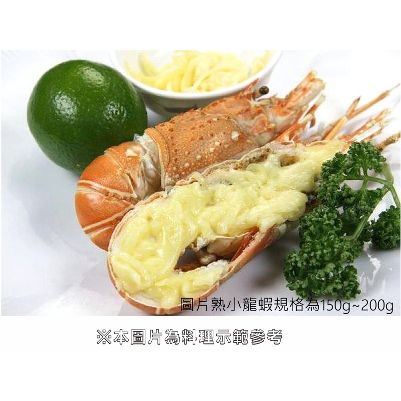 【萬象極品 】熟小龍蝦(切半)/約130g±10g/尾 教您做五星級餐廳料理~焗烤小龍蝦~年夜飯(宴客)就可上這道菜