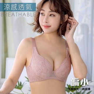 【艾妍內衣】BOBO 臺灣製 C-F 32-44 大尺碼 大罩杯 集中 包覆 吸濕排汗 透氣 調整薄杯機能 粉膚