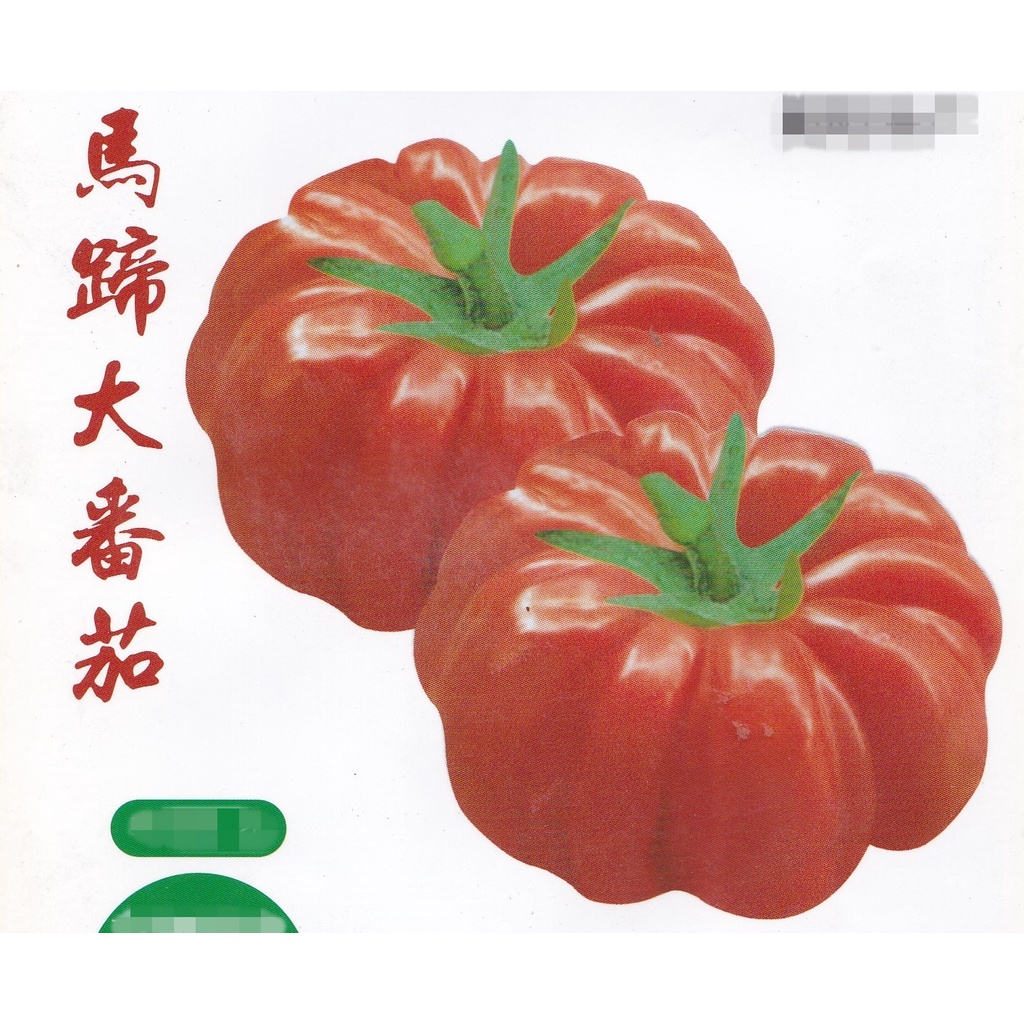 【水果種子S398】馬蹄大番茄~ 個頭大，產量高，單果重350公克左右，果實扁圓瓣棱型，肉質細膩，汁多甜美可口。
