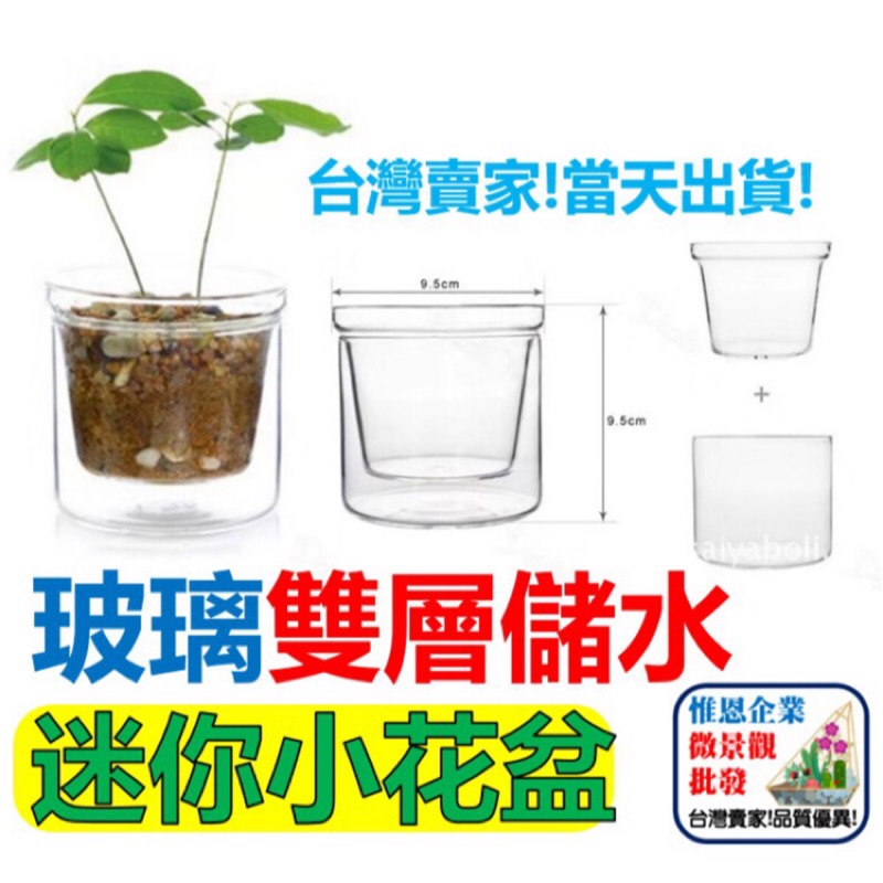 台灣惟恩微景觀雙層盆栽花盆多肉盆栽造景玻璃辦公室小物玻璃瓶場景佈置花瓶分離盆栽雙層玻璃 蝦皮購物