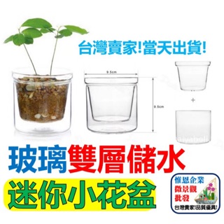 WINE臺灣惟恩 微景觀 雙層 盆栽 花盆 多肉 盆栽 造景 玻璃 玻璃瓶 場景佈置 花瓶 分離盆栽 雙層玻璃