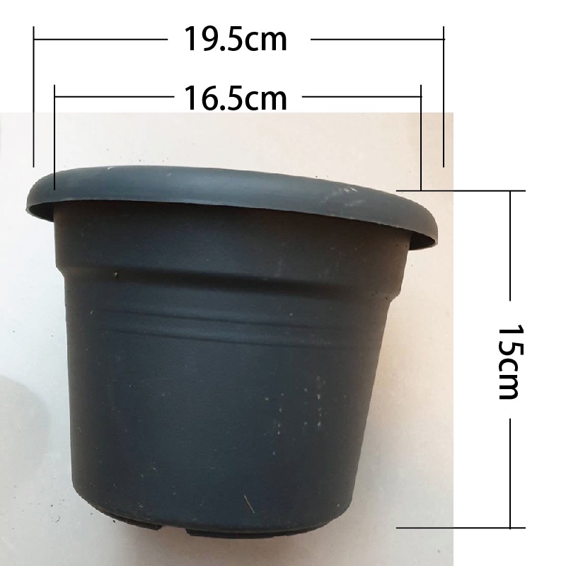 二手 5寸 16公分 無孔花盆 荷花盆蓮花盆塑膠花盆