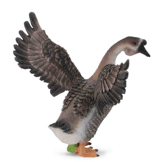 「芃芃玩具」COLLECTA 動物模型 公鵝 模擬 教材 教學 R88572 貨號88572