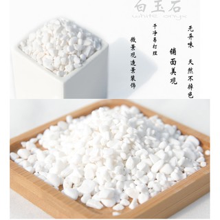 【巨路生活】景觀石 盆栽造景基石 多肉植物鋪面石 100克 園藝用品 多肉景觀植物盆栽裝飾品造景基質石子