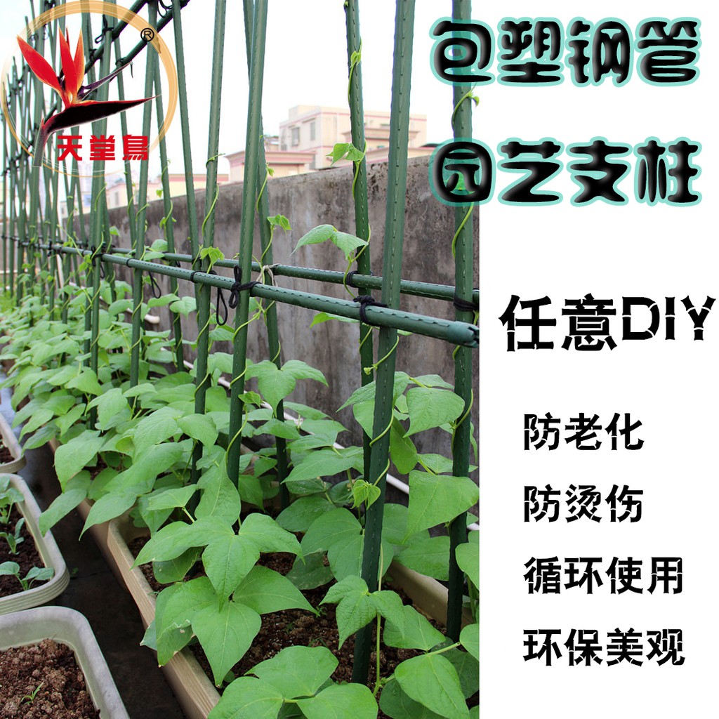 家庭綠植陽臺菜園包塑鐵管花支架園藝支架爬藤類花架diy支柱桿花架花瓶花盆盆栽花器 蝦皮購物