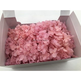 Truly 可刷卡 永生花 不凋花toka 東北花材小葉安娜貝爾 水無月拆盒繡球繡球花紫陽花 蝦皮購物