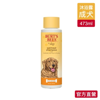 【Burt's Bees 小蜜蜂爺爺】天然肌蜜蜂蜜燕麥 寵物沐浴露 16oz - 官方旗艦店