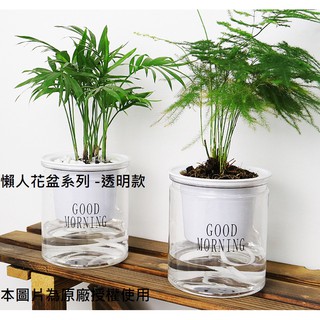 透明塑膠盆的價格推薦 21年8月 比價撿便宜