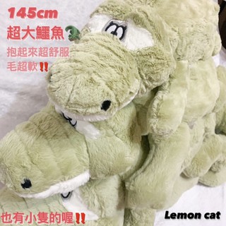 🍋檸檬貓🐱現貨🎉145cm 超大鱷魚 毛超軟 鱷魚抱枕 交換禮物 交換禮物首選 鱷魚娃娃 大娃娃 男友抱枕 坐墊 大抱枕