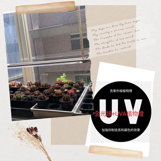 紅狐植物燈 線上商店 蝦皮購物