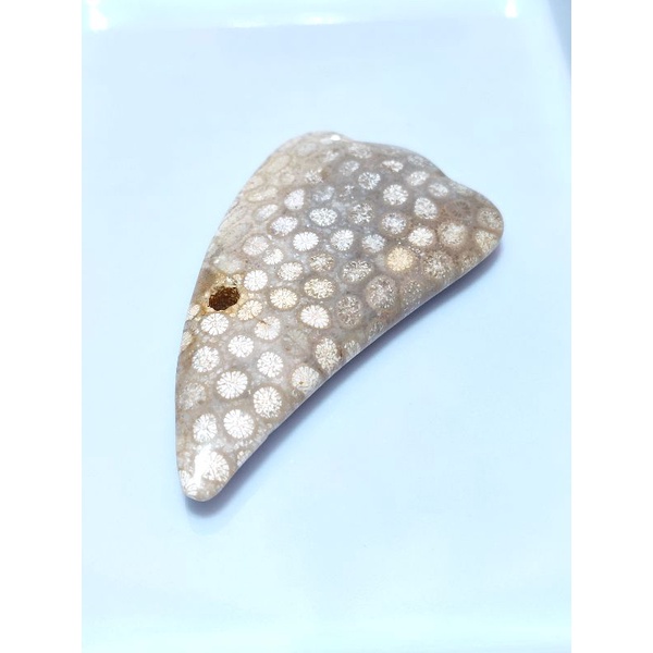 (ok999保留至10/10)珊瑚玉刮痧板-第12款 (帶天然骨骼洞洞款)