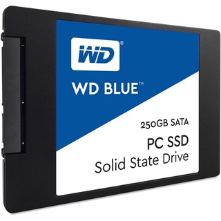 wd sata ssd 250g