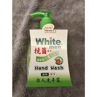 白人 洗手露300ml 綠的 抗菌洗手乳 400ml 伊莎貝爾 INSABER 無患子洗手乳 250ML