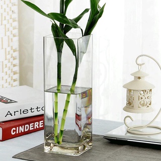 方型透明玻璃花瓶四方平光玻璃方缸水培百合富貴竹方形玻璃花瓶