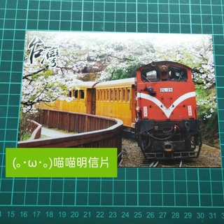 (｡･ω･｡)喵喵明信片 臺灣風情 明信片 阿里山小火車 花蓮 六十石山 金針花 高鐵 臺南鹽田 神木 火車