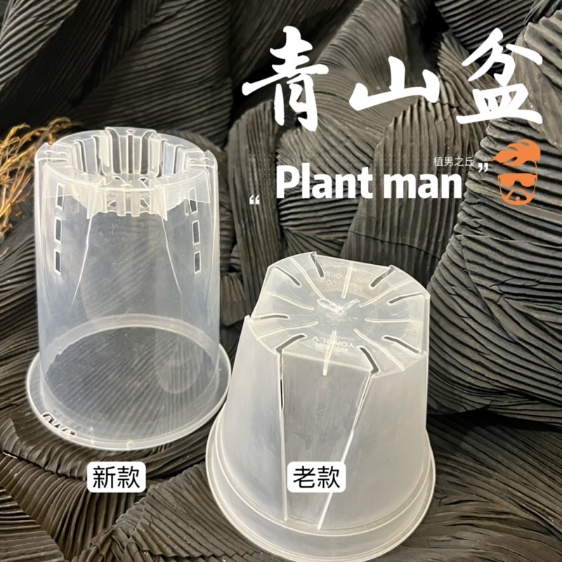 【植男之丘】同尺寸 買10送1！青山盆 控根盆 蘭花盆 控根盆 觀葉植物盆 塊根 象牙宮 龜甲龍 龜背芋 觀葉 水盤