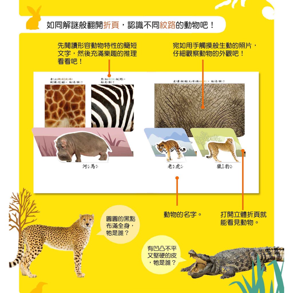立體翻翻書 猜猜我是誰 遊戲書系列 華碩文化 蝦皮購物