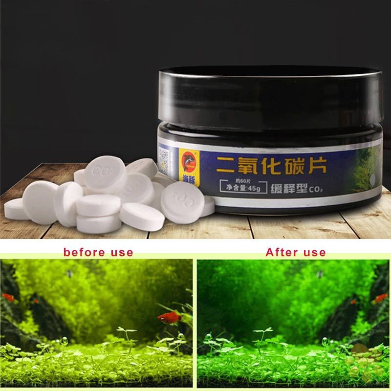 咕嚕館二氧化碳錠片co2片劑養水草肥料二氧化碳片緩釋泡騰片前景草 蝦皮購物