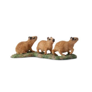 臺中＊＊宏富玩具＊＊《 COLLECTA 》英國 Procon 動物模型 幼水豚