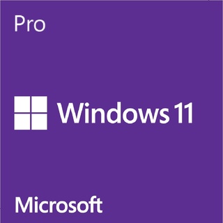 微軟 Microsoft Win Pro 11 專業中文版 64位元隨機版