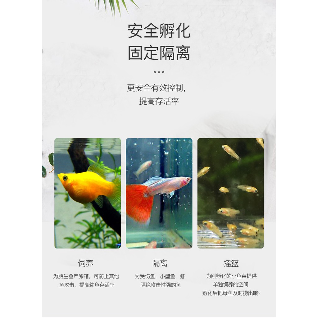 新品免運 滿千減百 孔雀魚繁殖盒孵化盒壓克力魚缸隔離盒產卵器魚卵繁殖箱小魚產房 領券更優惠