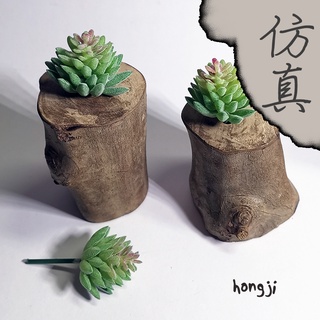 多肉 模擬多肉 微景觀 P18 假多肉植物 辦公室小物 療癒紓壓生日禮物拍照居家裝飾咖啡屋商店擺飾迷你木頭底座盆栽