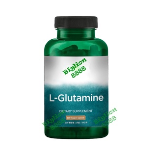 左旋麩醯胺酸 L-Glutamine 500毫克 SWANSON/UrSupplements 【大獅子商店】