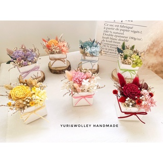 現貨/擴香盆花/乾燥花盆/婚禮盆花/畢業花禮/婚禮小物/閨蜜禮/擴香花/伴娘禮/畢業禮物/畢業花束/開幕花禮/母親節花禮